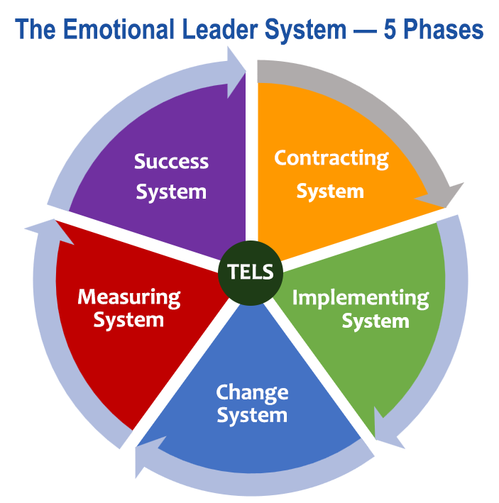 the emotional leader system